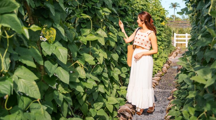 Southeast Asia’s First Circular Beachfront Tasting Menu at JW Marriott Khao Lak - TRAVELINDEX