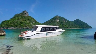 Mu-Ko-Ang-Thong-Marine-Park-2hHMvM.jpg