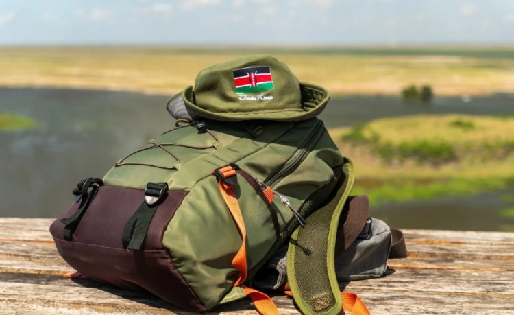 Kenya Boosts Africa's Tourism Growth, Emerging as a Leading Sustainable Tourism Powerhouse - TRAVELINDEX